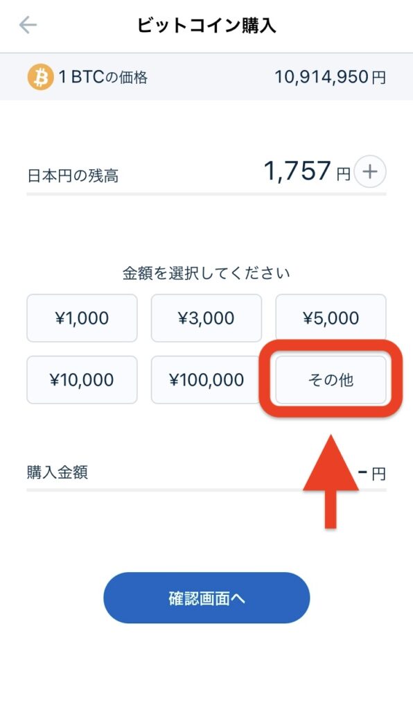 「その他」をタップ（残高がない場合は「⊕」をタップして入金）