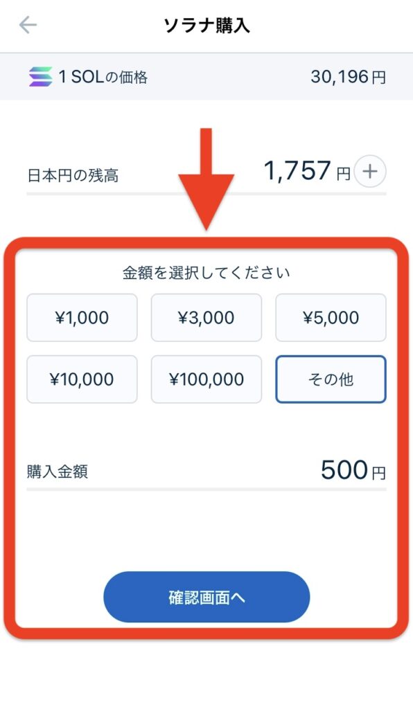 購入金額を選択して「確認画面へ」をタップ