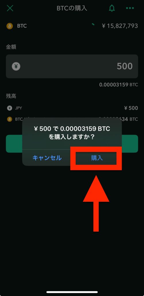 内容を確認し「購入」をタップ