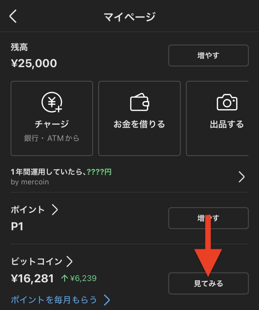「見てみる」をタップ